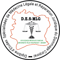 D.E.S MLG ENVIRONNEMENT NUMÉRIQUE